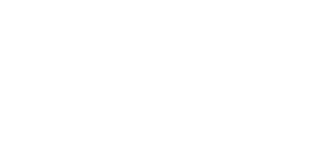 Bedri Usta